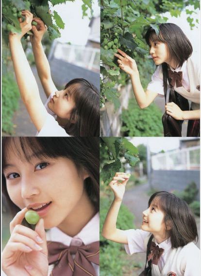 长月烬明电视剧免费观看
